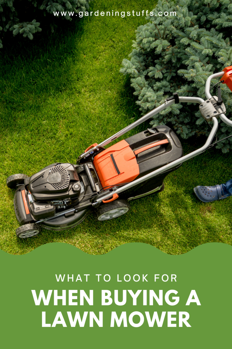 Top 9 Best Lawn Mower 2024 Reviews & Buying Guide