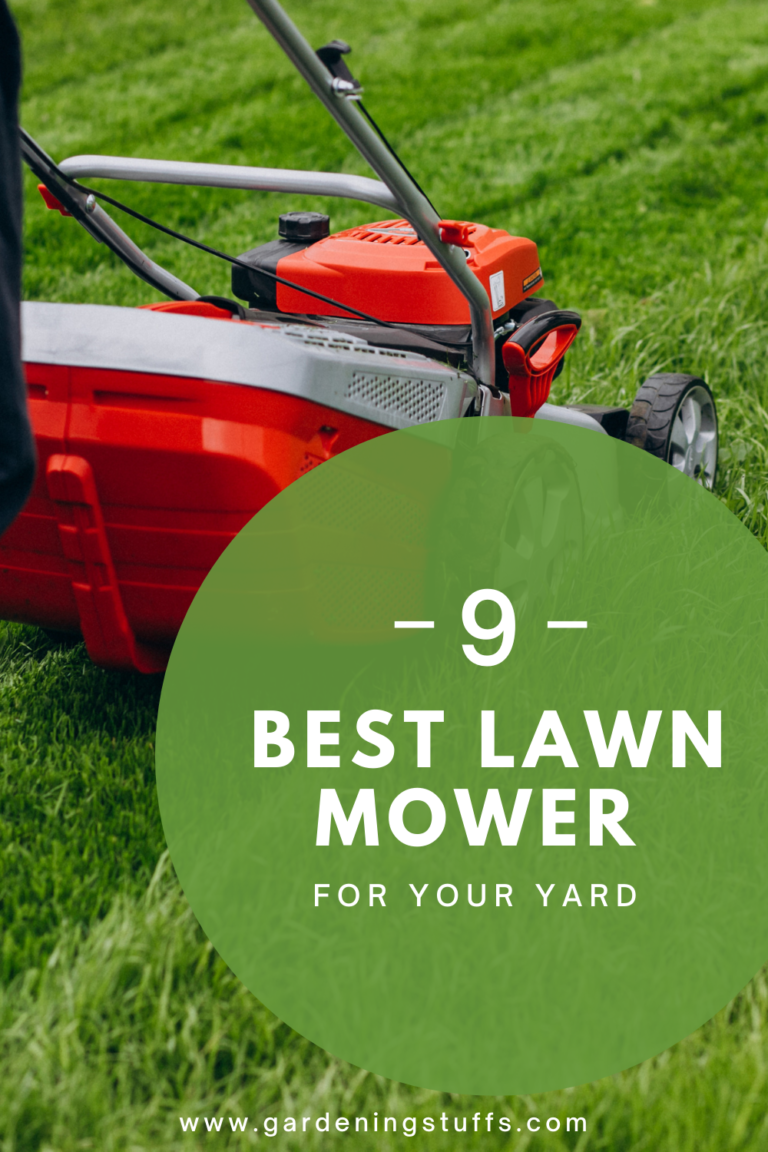 Top 9 Best Lawn Mower 2024 Reviews & Buying Guide